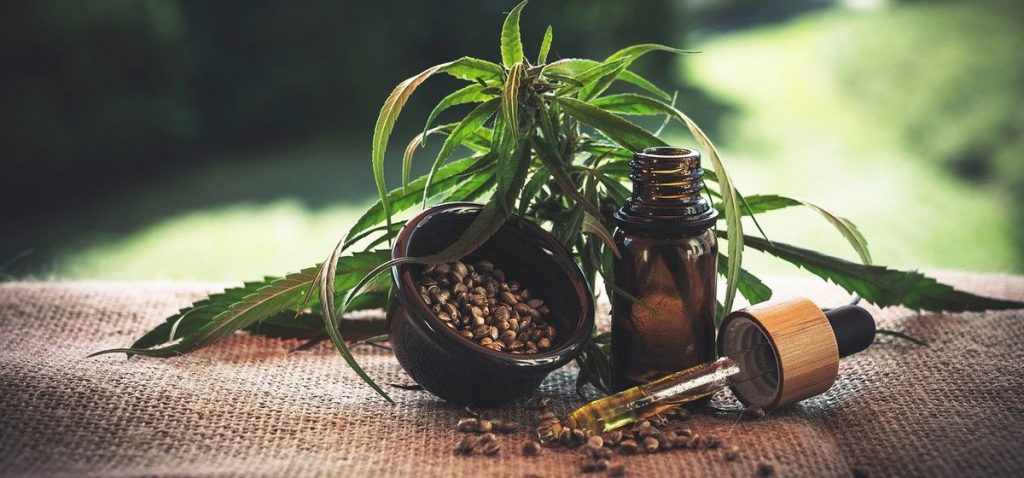 Study shows that CBD isolate and extract can slow the growth and kill cancer cells, especially in glioblastoma-like brain cancers.